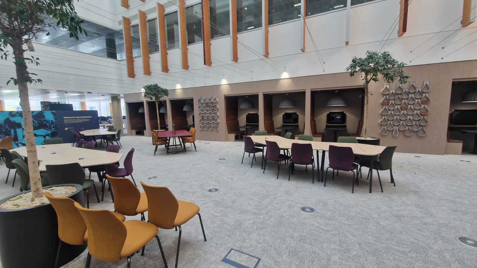 University in London – Site Upgrade